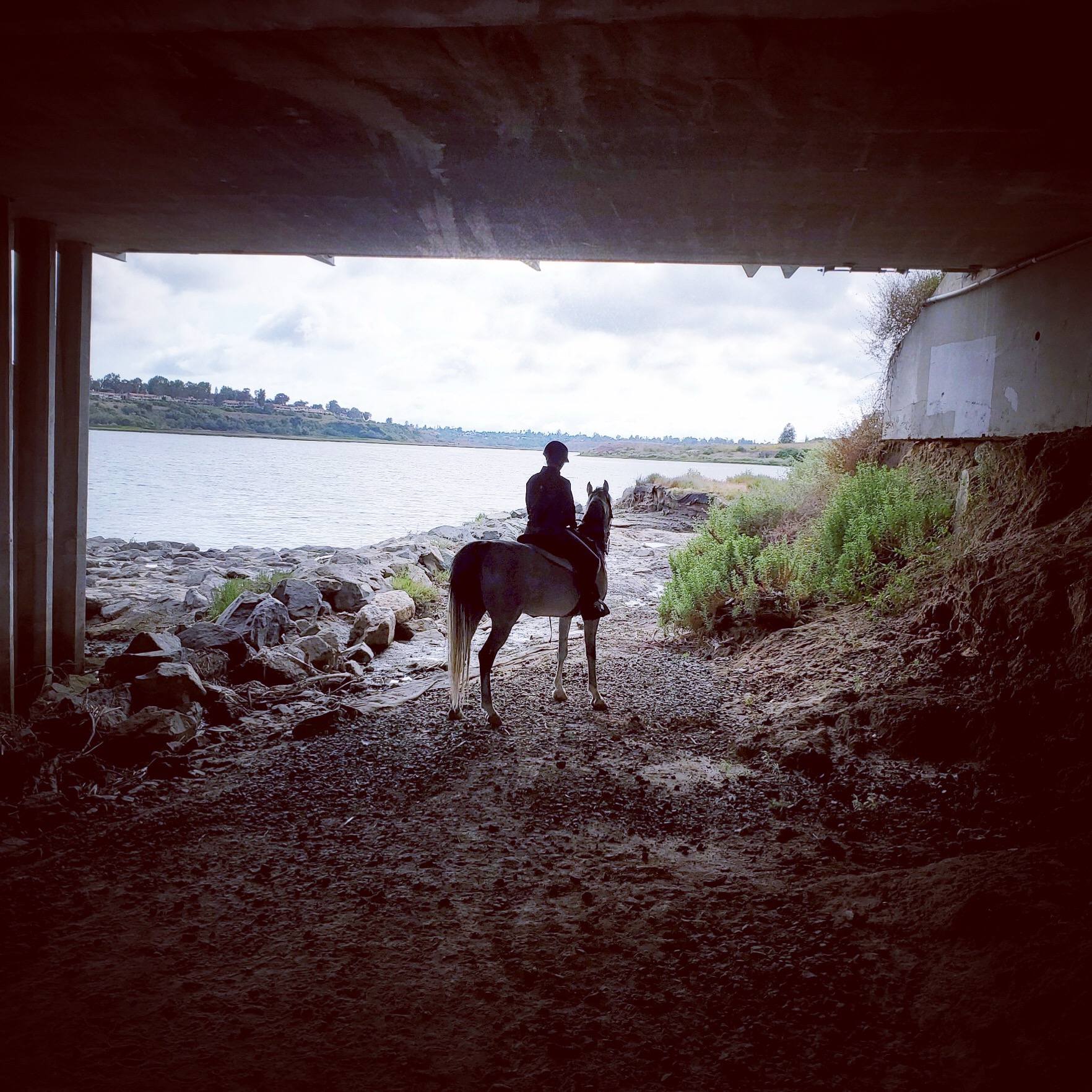 Silver Iris horse and rider near the coast